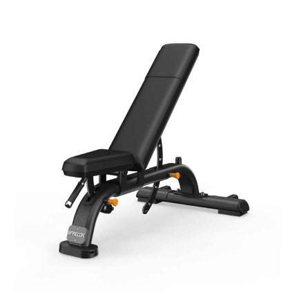 نیمکت مدرج | Precor DBR0119 Multi-Adjustable Bench
