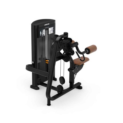 دستگاه نشر از جانب | Precor RSL0504 Lateral Raise