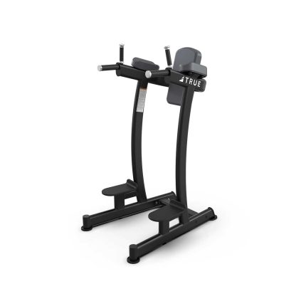 نیمکت پارالل | True XFW-6400 Vertical Knee Raise Dip