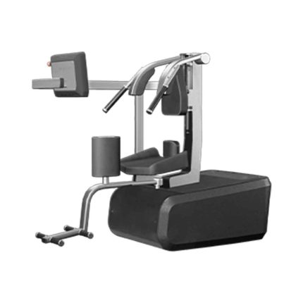 دستگاه مسگری | Milon Q+ Rotator
